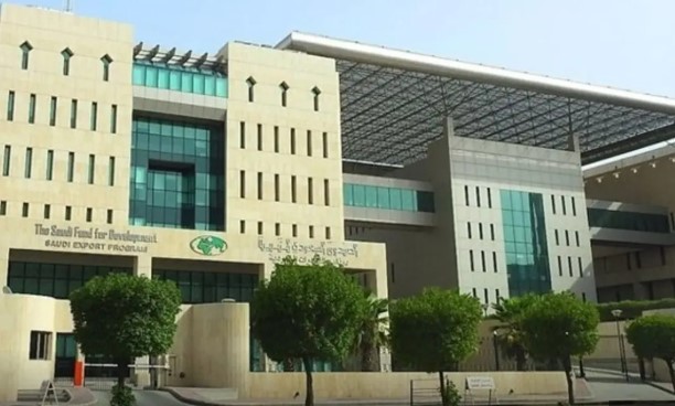 صندوق التنمية الوطني يستعد لدخول أسواق الدين بإصدار أول صكوك خلال عامين