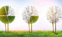 الشال‭: ‬إجمالي‭ ‬أدوات‭ ‬الدين‭ ‬العام‭ ‬المحلي‭ ‬ارتفع‭ ‬بما‭ ‬قيمته‭ ‬2‭.‬20‭ ‬مليار‭ ‬دينار