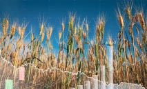 مليار‭ ‬إنسان‭ ‬على‭ ‬حافة‭ ‬الخطر